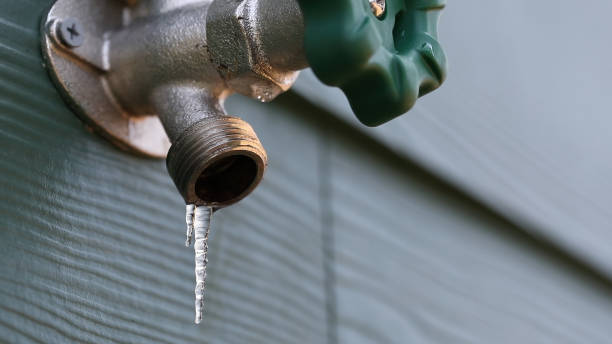 Best Clogged Drain Plumber  in Garden City Park, NY